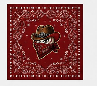 Outlaws paisley bandana